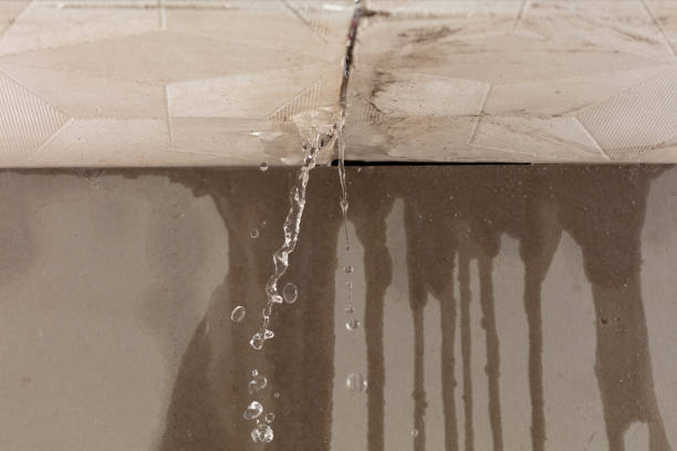 Professional Water Damage Repair technician working in Camano Island, WA